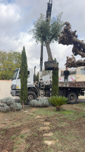 Photo de galerie - Paysagiste - Aménagement du jardin