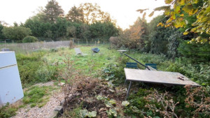 Photo de galerie - Tonte de pelouse - Débroussaillage