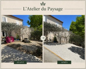 Photo de galerie - Taille des oliviers, nettoyage et aménagement de l’espace extérieur avec création d’un gravier pour un résultat propre et soigné. 