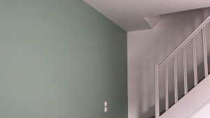 Photo de galerie - Escalier mise en gris, mur en vert 