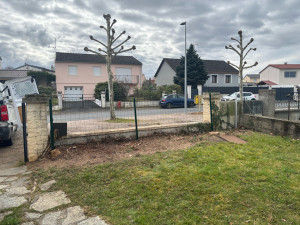 Photo de galerie - Taille de haies et d'arbustes