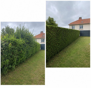 Photo de galerie - Taille de haies et d'arbustes