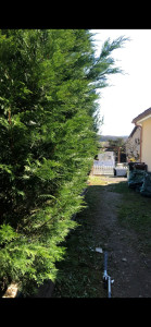 Photo de galerie - Jardinier