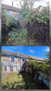 Photo de galerie - Débroussaillage 