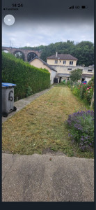 Photo de galerie - Tonte de pelouse 