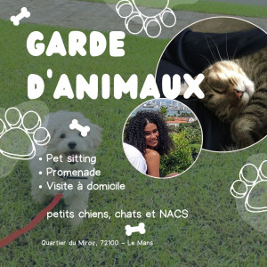 Photo de galerie - Je fais la garde des animaux, avec beaucoup de responsabilité et d'affection <3