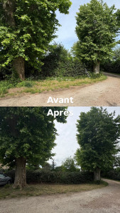 Photo de galerie - Taille