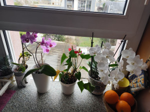 Photo de galerie - Entretien du logement 