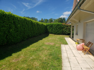 Photo de galerie - Taille de haie après réalisation.