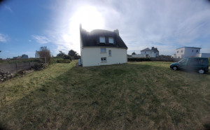 Photo de galerie - Petite tonte 