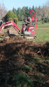 Photo de galerie - Paysagiste - Aménagement du jardin