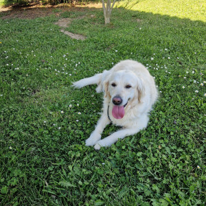 Photo de galerie - Néva toute gentille et jolie <3 