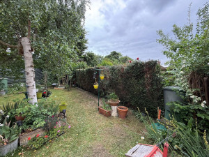 Photo de galerie - Rabattage de 1 mètre de haies 