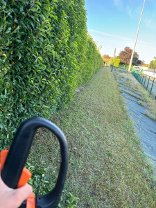 Photo de galerie - Taille de haie