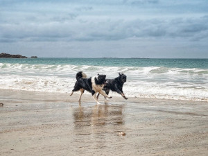 Photo de galerie - Les Poilus à la plage. 