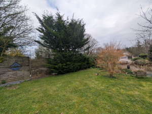 Photo de galerie - Rabattage avec évacuation et d'une haie de thuya environ 5 m de haut ce travail s'est effectué à l'échelle car pas beaucoup d'accès et pour l'évacuation camion benne, ce travail s'est effectué sur la commune de Reuilly