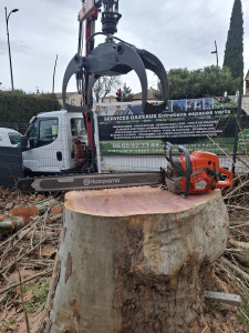 Photo de galerie - Élagueur grimpeur – Le Creusot
Élagage, abattage, démontage délicat
Arbres dangereux ou difficiles d’accès
Travail soigné – assuré
Devis gratuit – réponse rapide
? 06 68 92 33 48
Élagage Gazeaux