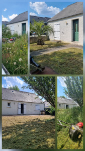 Photo de galerie - Remise en état/défrichage
