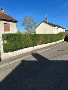 Photo de galerie - Après la coupe