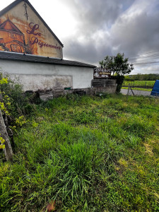 Photo de galerie - Tonte, débroussaillage et évacuation des déchet verts
