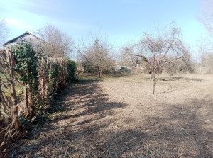 Photo de galerie - Verger debroussaillé
