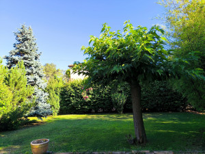 Photo de galerie - Paysagiste - Aménagement du jardin