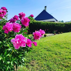 Photo de galerie - Paysagiste - Aménagement du jardin