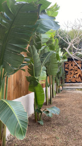 Photo de galerie - Paysagiste - Aménagement du jardin