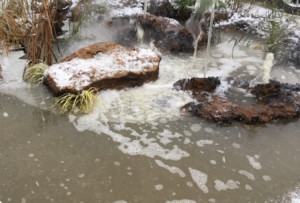 Photo de galerie - Avec des plantes , poissons , jets d eaux 