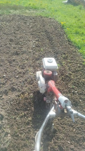 Photo de galerie - Jardinage motoculteur 