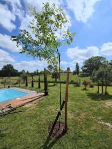 Photo de galerie - Paysagiste - Aménagement du jardin