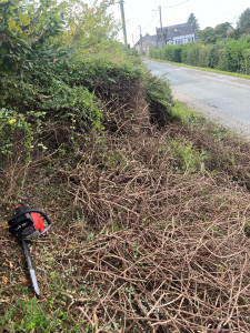 Photo de galerie - Coupe d’une haie de 12 m2 