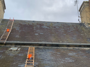 Photo de galerie - Toiture non traité 