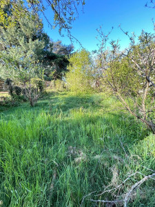 Photo de galerie - Paysagiste - Aménagement du jardin
