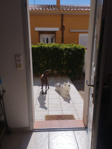 Photo de galerie - Laska & Naya 