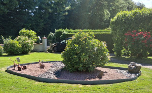 Photo de galerie - Désherbage 