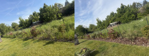 Photo de galerie - Arrachage manuel des mauvaises herbes   80m