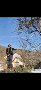 Photo de galerie - Petit Élagage avec perche 