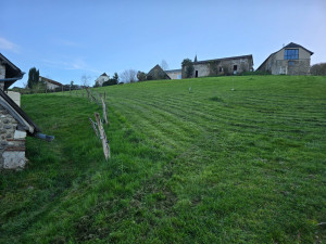 Photo de galerie - Tonte de prairie