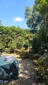 Photo de galerie - Après 