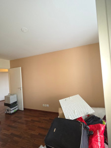 Photo de galerie - Rénovation d'une pièces avec mur en teinte 