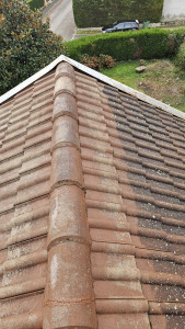 Photo de galerie - Couverture - Toiture