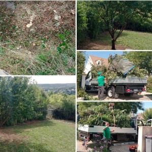 Photo de galerie - Entretien espace vert