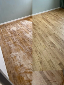 Photo de galerie - Peinture - Tapisserie