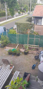 Photo de galerie - Réalisation de parterre permaculture