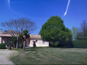 Photo de galerie - Tonte