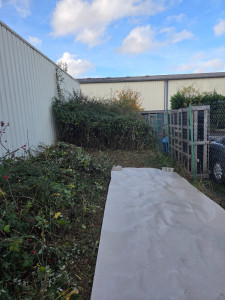 Photo de galerie - Travaux en cours pour un débroussaillage de roncier.