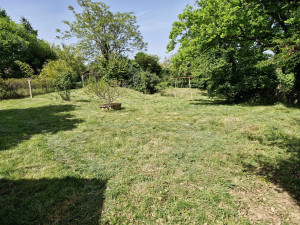 Photo de galerie - Tonte de pelouse - Débroussaillage