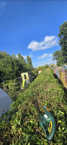 Photo de galerie - Taille de haies et d'arbustes