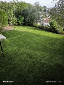 Photo de galerie - Création de pelouse